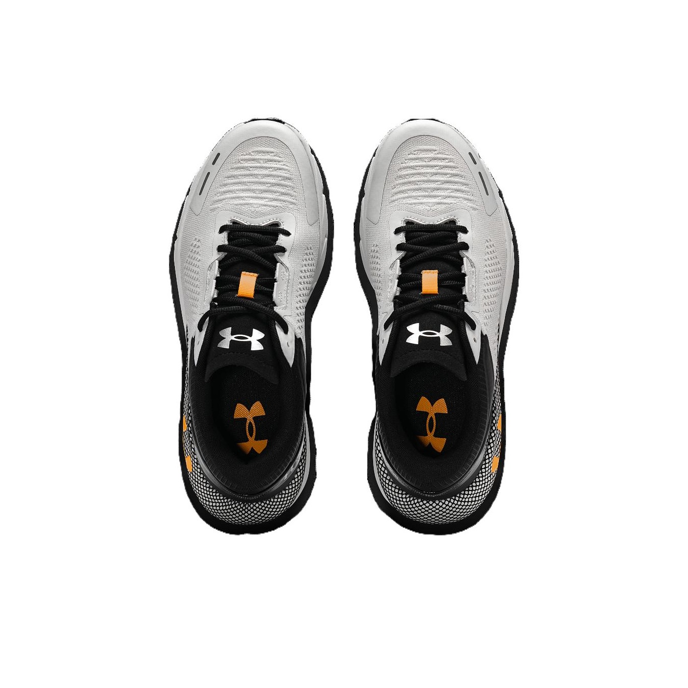 Scarpe da corsa basse Under Ar - Men Shoes Under 300 recensione e prezzo